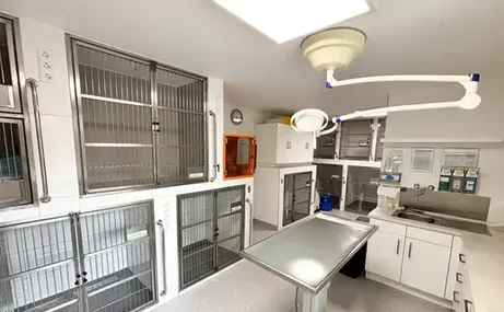 Foto der Station 2 für die stationaere Behandlung von Hunden und Katzen 