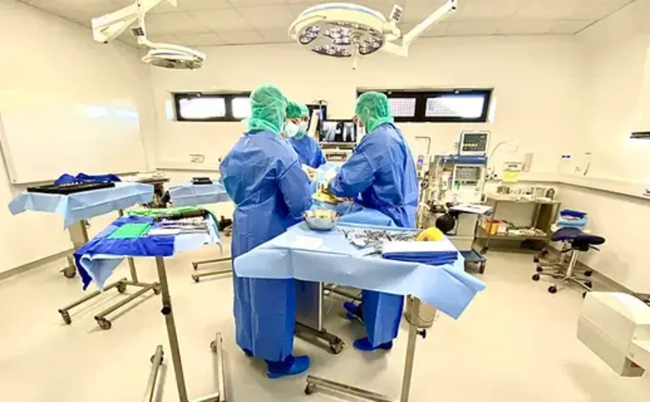 Aerzteteam bei der OP