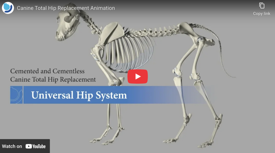 Vorschaubild YouTube Video "canine Total Hip Replacement Animation"